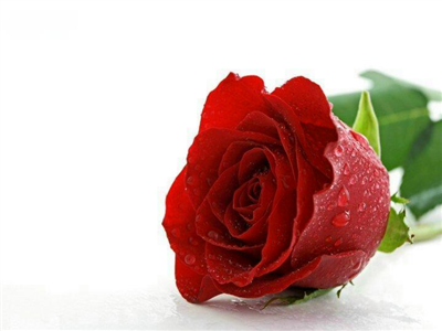 Bir güzellik yap kendine.Sadece sahip olduklarını düşün. Olamadıkların üzülsün senin olamadıklarına. Keşkeleri Hiç düşünme. Mutlu ol seçimlerinle. Bırak keşkeler üzülsün senin seçimlerine