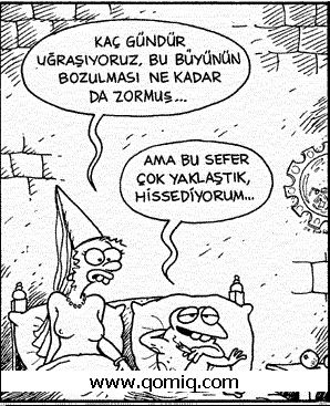 Aptalmısın Değilmisin