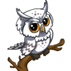 White Owl