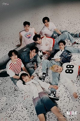 Hangi straykids üyesinin ideal tipisin??