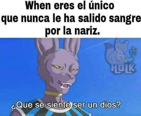 Que Tanto Pones Xd???