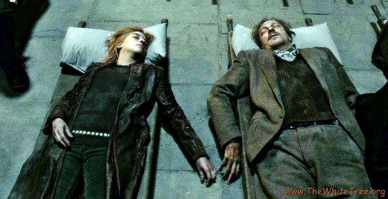 Remus ve Tonks