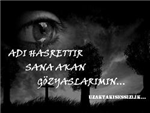 Hasretimsen