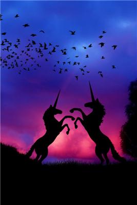 Unicorn