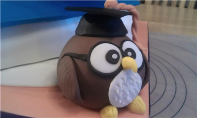 Owl Cake