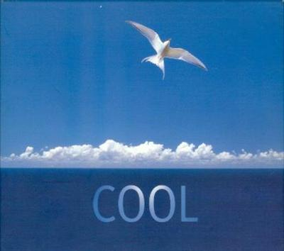 Cool-Testeur