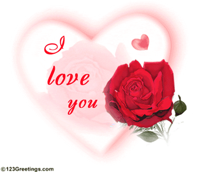 lovely rose