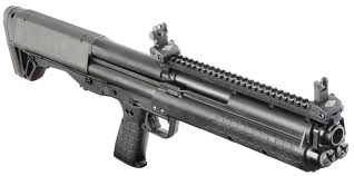 KSG12