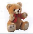 Oso de Peluche!