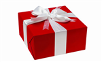Surprise Present