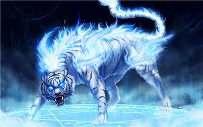 Animal