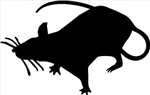 Have A Rat