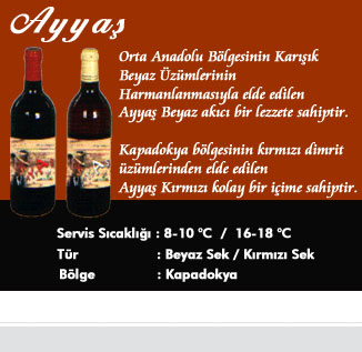 Ne Kadar Ayyaşsın?