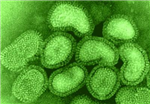 Disease Giver