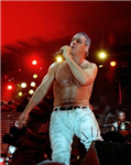 Sweet Till Lindemann