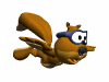 Squirrel