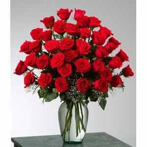 Roses 
