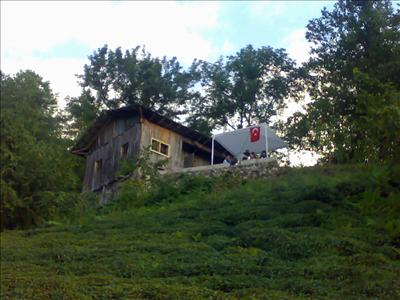 Bulizen & Papuzen