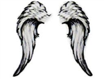 Fallen Angels