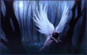 lost angel2