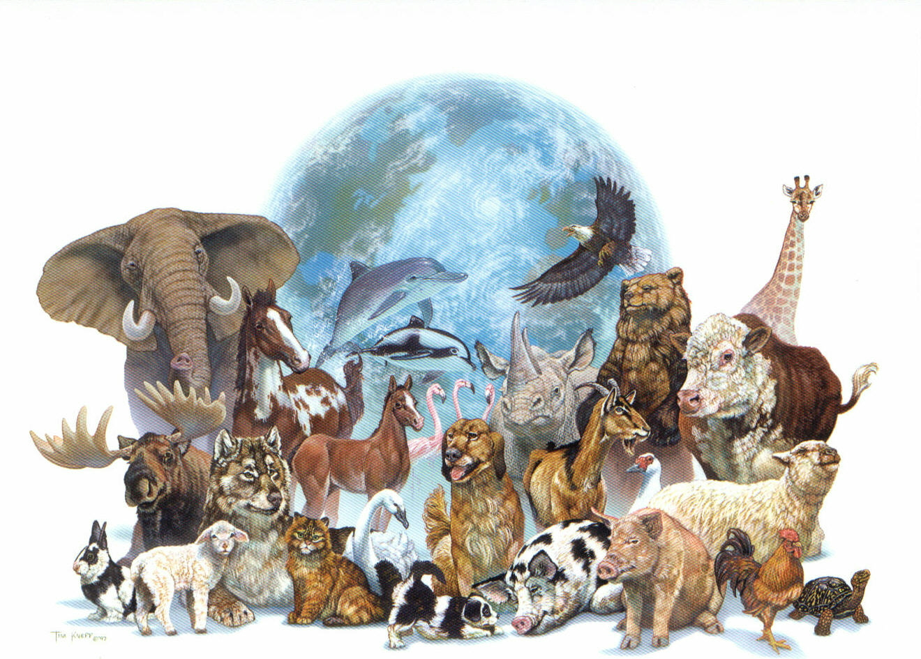 ¿Amas A Los Animales?