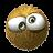Funny Heads