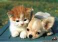 Give A Gift To Someone You Care About
