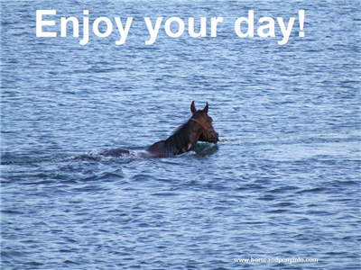 Enjoy your day