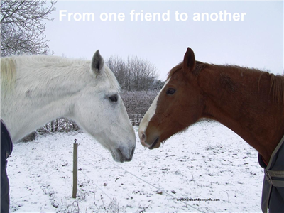 To a Friend