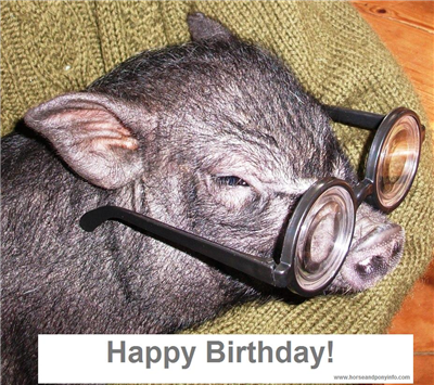 Happy Birthday