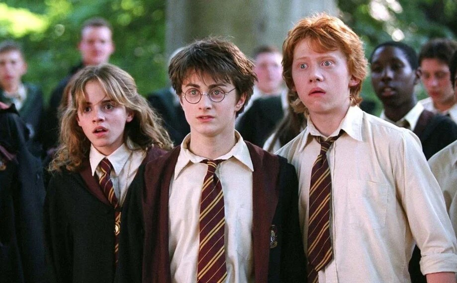 Co Bys Radši? -  Harry Potter