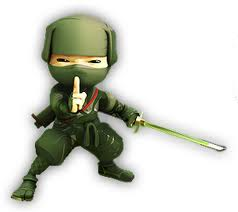 Ninja