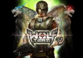 Wolfteam Anketi