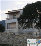 Real Estate Market By Www.Arkadi-Estate.Com