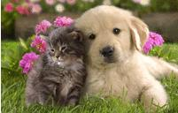 Your friendship means the most to me