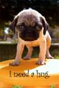 I Need You Gift 