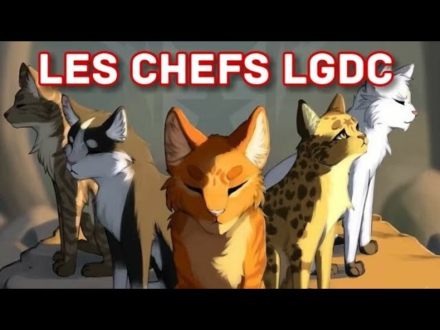 Quel chef du cycle 1 de lgdc es tu ?