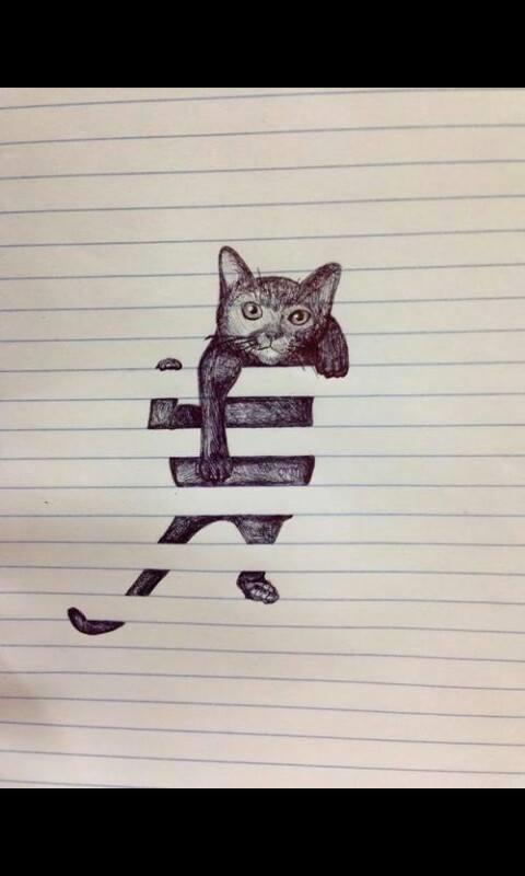 Soy Animal