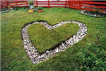 Hearts
