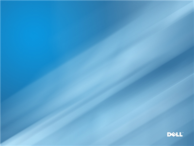 dell2