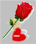 Bachelorette Flowers