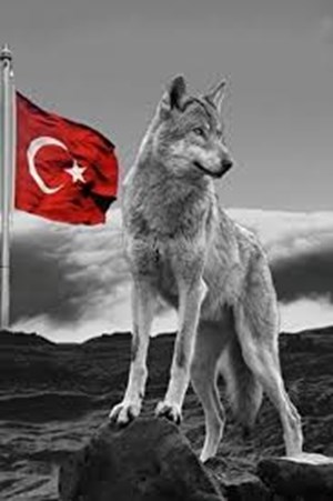 Ne Kadar Türk'sün?