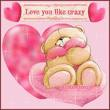 Forever Bear Love