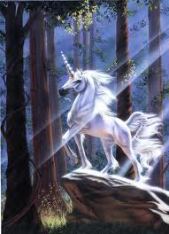 unicorn