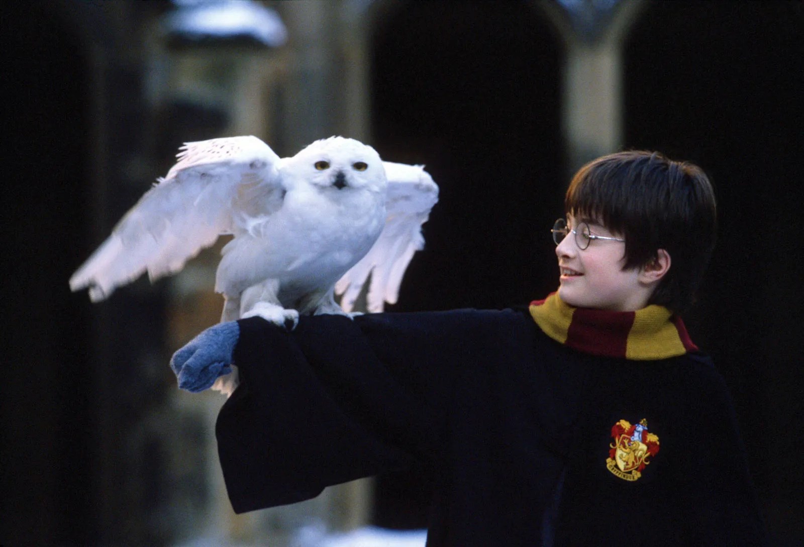 Que tanto sabes de Harry Potter?