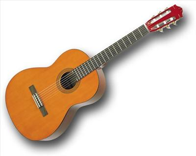 Hangi Gitar Türüsün?
