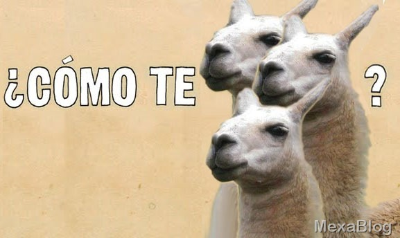 Como Te Llamas