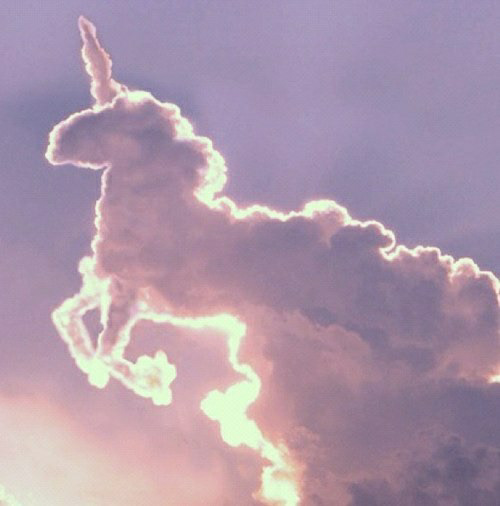 Licorne, Pégase, Ou Poney???