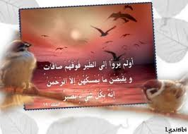تفكر3
