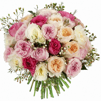fleurs